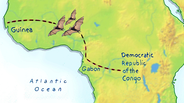 africa-ebola-map
